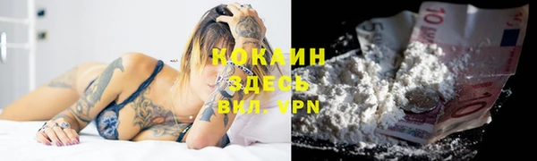 PSILOCYBIN Кулебаки