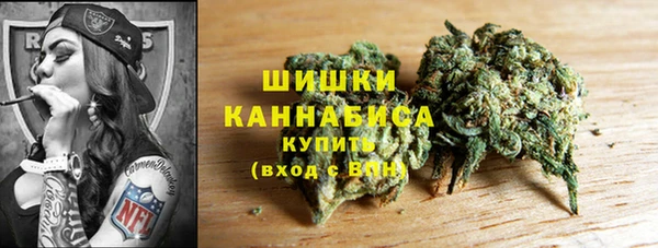 PSILOCYBIN Кулебаки