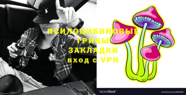 гашик Кукмор
