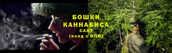 PSILOCYBIN Кулебаки