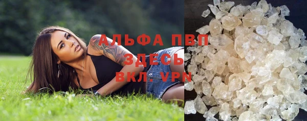 PSILOCYBIN Кулебаки
