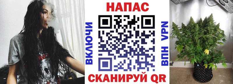 как найти закладки  Ильский  Канабис AK-47 
